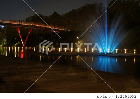 nighttime Supertree Grove Gardens by the Bay blue fountain glowing lights nighttime Supertree Grove Gardens by the Bay blue fountain glowing lights 132661052