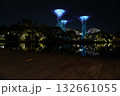 nighttime Supertree Grove Gardens by the Bay blue fountain glowing lights 132661055