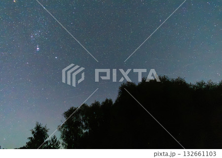 Night sky full of stars above dark forest silhouette in autumn Night sky full of stars above dark forest silhouette in autumn 132661103