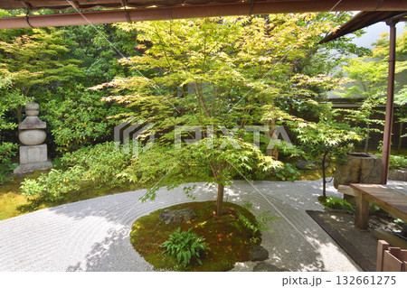 霊源院の庭園 132661275