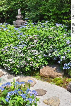 霊源院の庭園 132661405