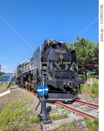 SL SL 132661596