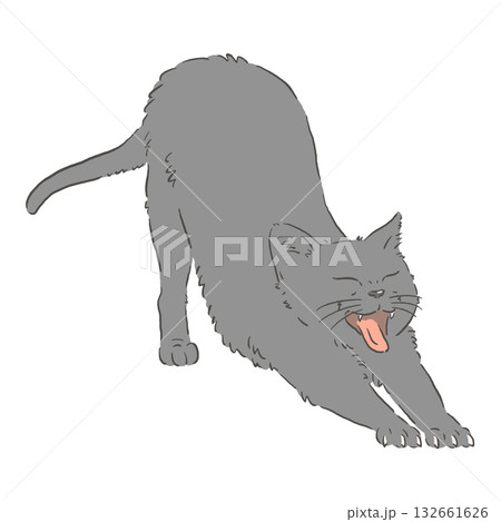のびをする黒猫のイラスト のびをする黒猫のイラスト 132661626