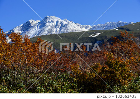 鳥海ブルーライン快晴の日　鉾立から望む　冠雪した鳥海山　秋田県 132662435