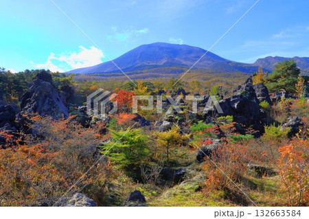 秋の鬼押出し園と浅間山(群馬県嬬恋村) 秋の鬼押出し園と浅間山(群馬県嬬恋村) 132663584