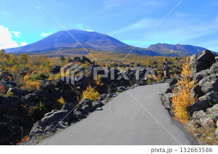 秋の鬼押出し園と浅間山（群馬県嬬恋村） 132663586