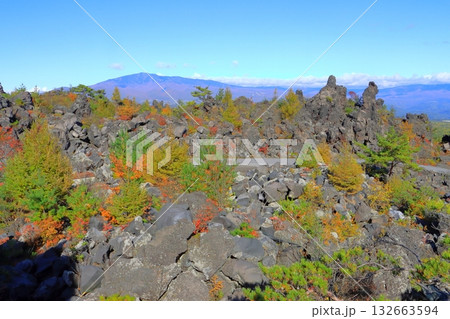 秋の鬼押出し園(浅間山観音堂より・群馬県嬬恋村) 秋の鬼押出し園(浅間山観音堂より・群馬県嬬恋村) 132663594