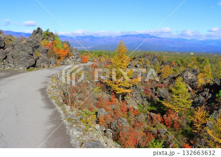 秋の鬼押出し園（群馬県嬬恋村） 132663632