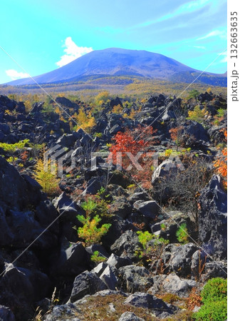 秋の鬼押出し園と浅間山(群馬県嬬恋村・縦構図) 秋の鬼押出し園と浅間山(群馬県嬬恋村・縦構図) 132663635