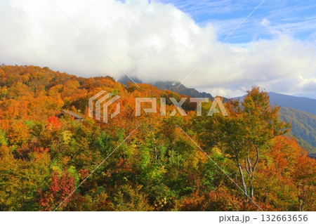 秋の八海山（ロープウェー山頂駅周辺・新潟県南魚沼市） 132663656