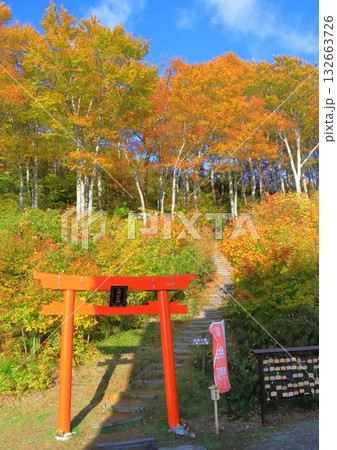 秋の八海山（ロープウェー山頂駅周辺・新潟県南魚沼市・縦構図） 132663726