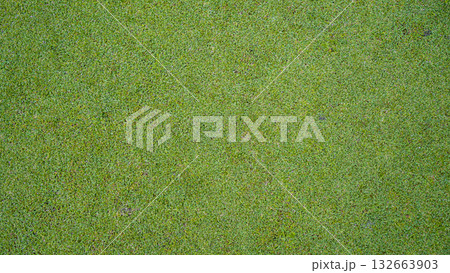 Green grass background, top view background of garden bright grass concept used for making green backdrop Green grass background, top view background of garden bright grass concept used for making green backdrop 132663903