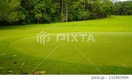 Green grass and woods on a golf field. View of Golf Course with beautiful putting green. Green grass and woods on a golf field. View of Golf Course with beautiful putting green. 132663904