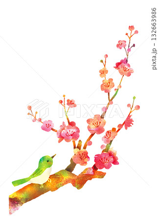 梅とウグイス_年賀状に使える和イラスト 132663986