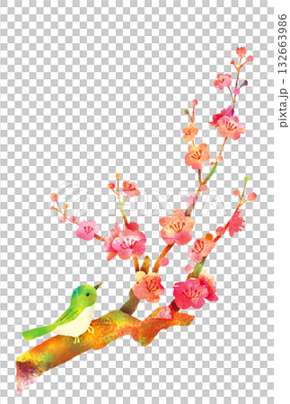 梅とウグイス_年賀状に使える和イラスト 132663986