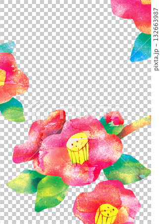 椿の花_年賀状に使える和イラスト 132663987