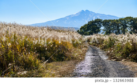 秋の冬師湿原ススキの中を進む林道と鳥海山 秋田県 秋の冬師湿原ススキの中を進む林道と鳥海山 秋田県 132663988