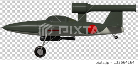 Plum blossoms 132664164