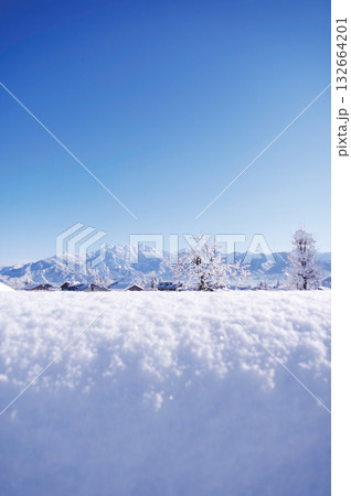 キラキラ光る新雪と青空 キラキラ光る新雪と青空 132664201