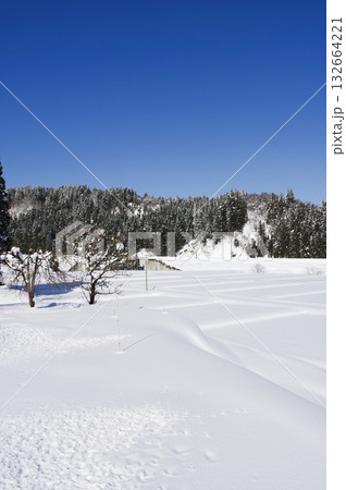 雪原に続く足跡 132664221