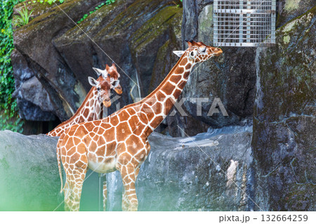 台湾 台北 台北市 132664259