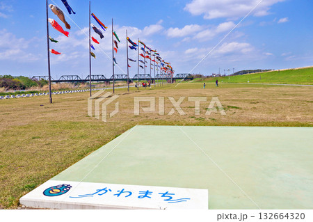 福岡県中間市の遠賀川河川敷に掲揚された鯉のぼり 132664320