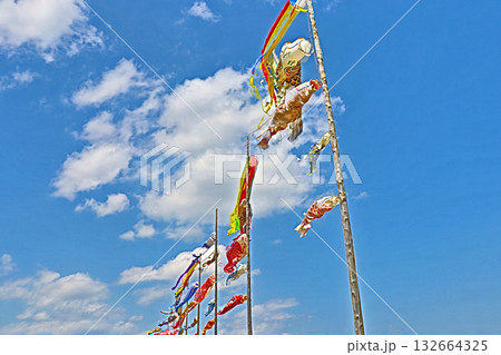 端午の節句を祝うたくさんの鯉のぼりと青空 132664325