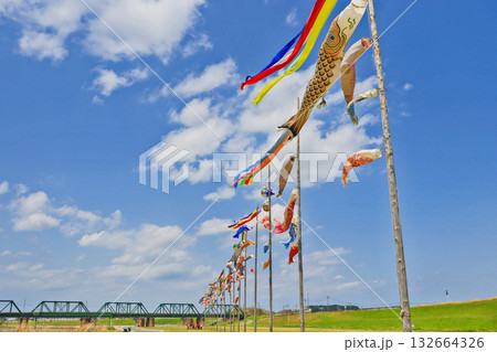 福岡県中間市の遠賀川河川敷に掲揚されたたくさんの鯉のぼり 福岡県中間市の遠賀川河川敷に掲揚されたたくさんの鯉のぼり 132664326