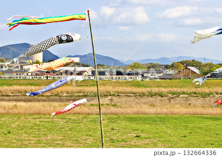 福岡県飯塚市の遠賀川河川敷に掲揚された鯉のぼりと福北ゆたか線 福岡県飯塚市の遠賀川河川敷に掲揚された鯉のぼりと福北ゆたか線 132664336