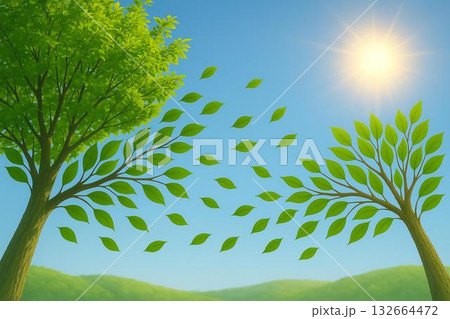 太陽 青空 新緑 フォトリアル 太陽 青空 新緑 フォトリアル 132664472