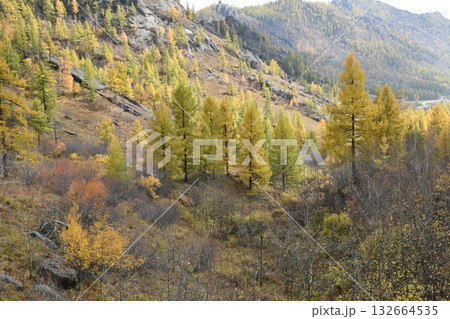 広大な大地 広大な大地 132664535