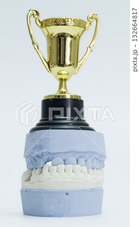 Dental Cast with Trophy Representing Oral Health Excellence Dental Cast with Trophy Representing Oral Health Excellence 132664817