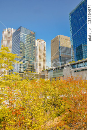 大阪市梅田 グラングリーン大阪周辺の街並み風景 大阪市梅田 グラングリーン大阪周辺の街並み風景 132664974