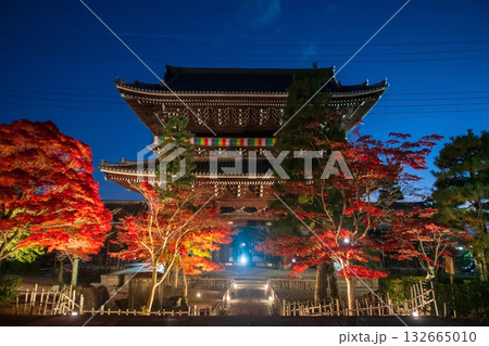 autumn maple tree light up by Kurodani sanmon gate at dusk, Kyoto 132665010