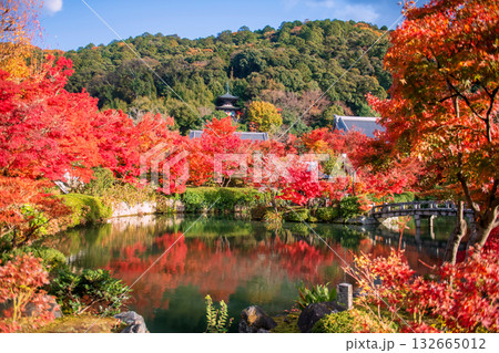Eikan-do Zenrinji pagoda on hill with autumn leaf garden, Kyoto Eikan-do Zenrinji pagoda on hill with autumn leaf garden, Kyoto 132665012