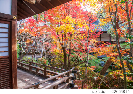 Eikan-do Zenrinji temple veranda with coloful leaf garden in autumn, Kyoto Eikan-do Zenrinji temple veranda with coloful leaf garden in autumn, Kyoto 132665014