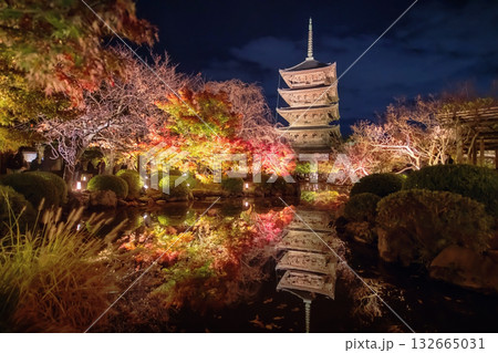 Toji five story pagoda and colorful autumn park light illumination, Kyoto 132665031