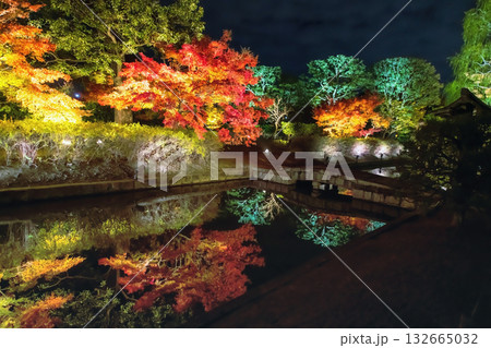 Bridge cross pond with autumn garden light up at Toji temple, Kyoto Bridge cross pond with autumn garden light up at Toji temple, Kyoto 132665032