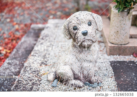 Cute dog statues decor in Enkoji temple with autumn fallen leaf, Kyoto Cute dog statues decor in Enkoji temple with autumn fallen leaf, Kyoto 132665038