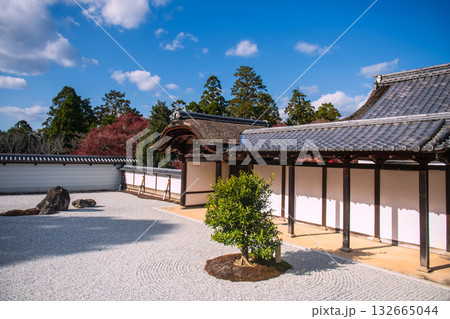 Rock garden with autumn leaf abd blue sky of Manshuin temple, Kyoto Rock garden with autumn leaf abd blue sky of Manshuin temple, Kyoto 132665044