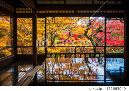 foliage reflection of autumn maple leaf, Ruriko-in Temple, Kyoto 132665049
