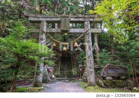 Torii gates and mountain path at Futagoji temple, Kunisaki, Oita Torii gates and mountain path at Futagoji temple, Kunisaki, Oita 132665064