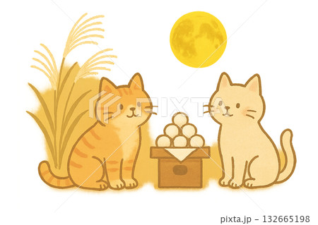 月見をする猫 132665198