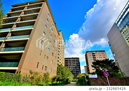 東京高級住宅街 広尾の高級マンション 東京高級住宅街 広尾の高級マンション 132665426