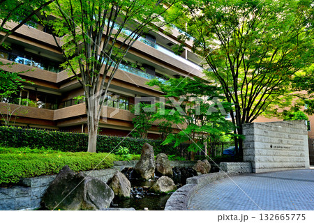 東京高級住宅街 広尾の高級マンション 東京高級住宅街 広尾の高級マンション 132665775