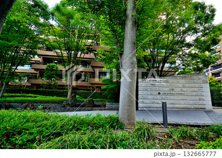 東京高級住宅街 広尾の高級マンション 東京高級住宅街 広尾の高級マンション 132665777