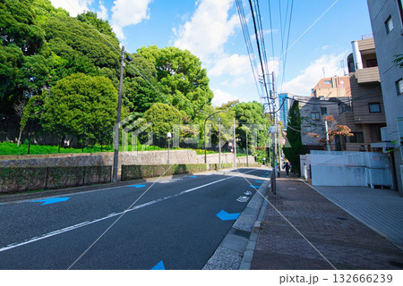 初秋の木漏れ日のさす並木道 広尾の高級住宅街 初秋の木漏れ日のさす並木道 広尾の高級住宅街 132666239