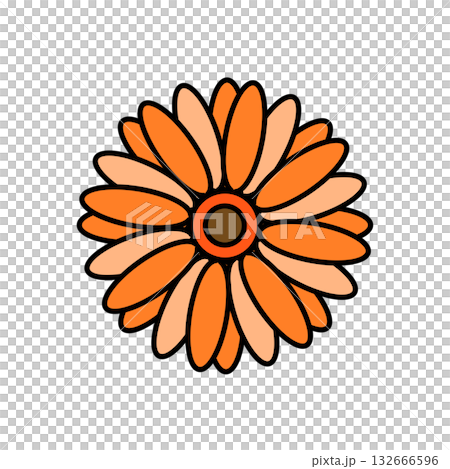 可愛的流行花卉圖示（非洲菊） 132666596