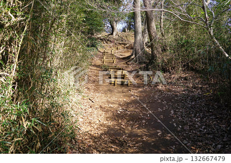 源氏山公園　ハイキングコース 132667479