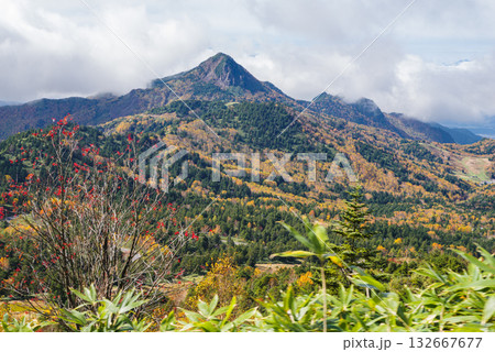 志賀高原の紅葉 132667677